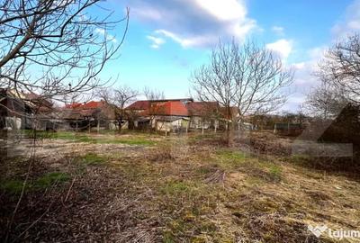 Casă cu 4 camere cu Teren 2500 Mp în Central - 6