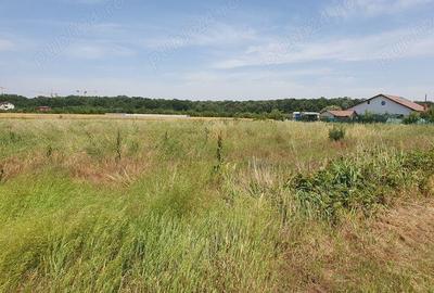 Teren situat in Balotesti,langa padure,acces drum pietruit, 28000 euro - 5