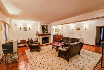 Vanzare casa/vila care refuza trecerea timpului - Zona Capitale - 18