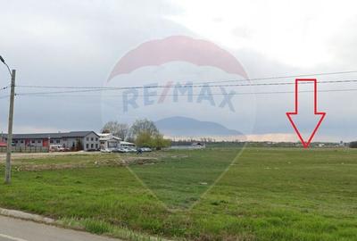Teren Podari / Fabrica de mobila / 4600 mp / Intravilan - 4