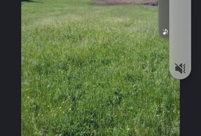 Spațiu comercial, în Mihai Eminescu - 1