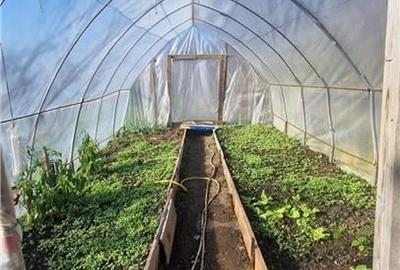 Ocazie!Oaza de liniste in satul Colun,cu 572mp ,la 40km de Sibiu Ocazie!Oaza de liniste in satul Colun,cu 572mp ,la 40km de Sibiu - 25