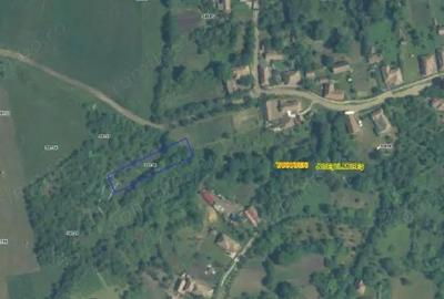Teren extravilan, loc. Bobohalma, jud. Mures - 4