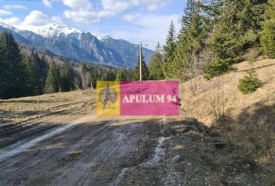 Teren de 1150 mp, în Cheile Râșnoavei - 2