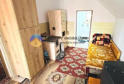 CASĂ + teren 3000 mp de vanzare - COSTIȘA - 5