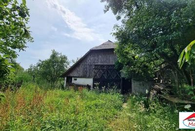 Casa in Viile Satu Mare cu teren mare 55000 Euro - 5