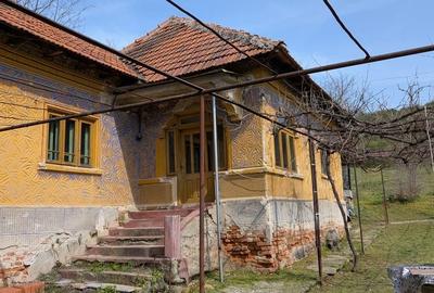 Teren de 1500 mp, în Șimnicu de Sus - 1
