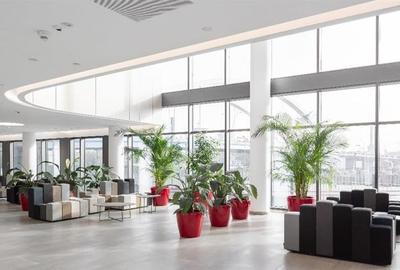 Birouri de inchiriat in Orhideea Towers - 510 mp - 6