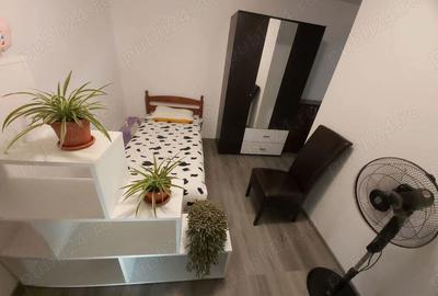 De vanzare 349900 euro casa cu 2 apart. in centru istoric Timisoara - 8