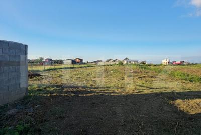Teren intravilan cu constructie din caramida in Cheriu langa - 6