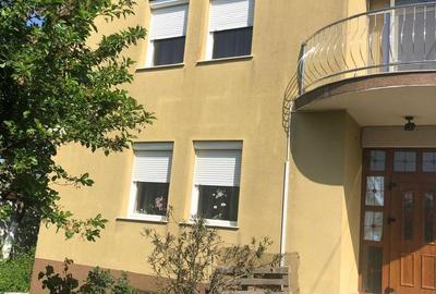 Casă cu 9 camere decomandat cu Teren 3000 Mp în Vladimirescu - 16