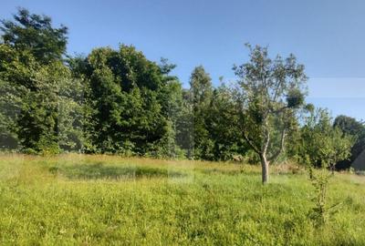 Teren, 700 mp pentru cabanute , toate utilita?ile in Fele - 3