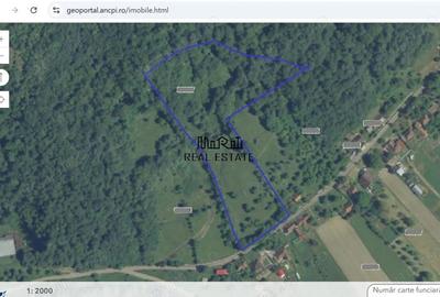 Teren de 1274 mp, în Criș - 4
