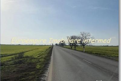 Teren de 25000 mp, în Agigea - 2