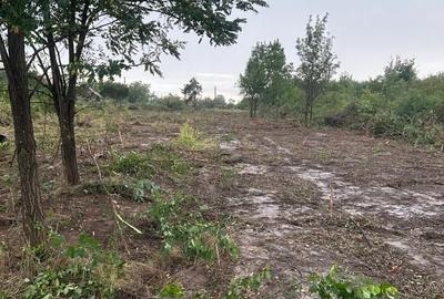 Teren de 5000 mp, în Sacoșu Mare - 1