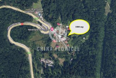 Teren Construcții intravilan de 1000 mp, în Predeal - 4