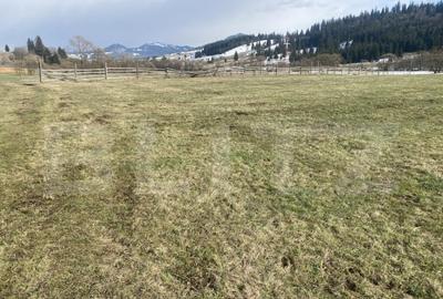 Teren intravilan de vanzare, 12.500 mp, zona Vatra Dornei, P - 7