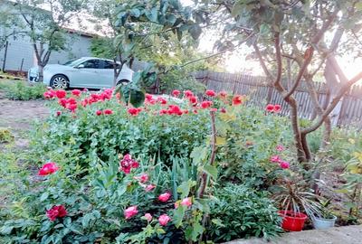 Vand casa la ?ara, Rasmire?ti Teleorman 46000e - 6