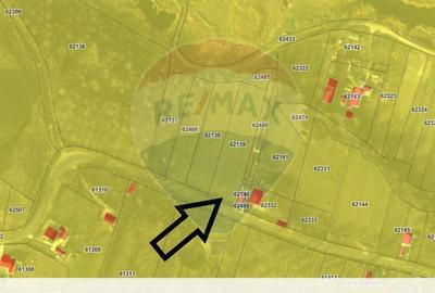 Teren Construcții intravilan de 4008 mp, în Dumbrăveni - 2