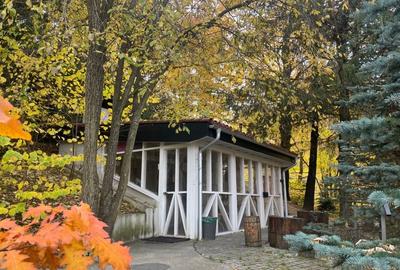 CHALET & SPA MAESTRUL SI MARGARETA /MARGARETA APARTMENT RENT/1300 EURO by WEEK - 9
