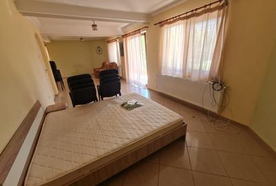 Vila de inchiriat pe nivele sau intreaga! - 13