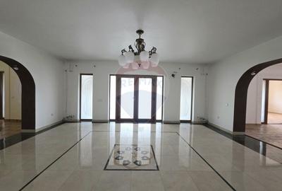 De vanzare proprietate unicat in Sascut - Bacau - 29