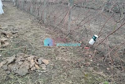 Teren intravilan 700 mp Sf. Ilie - 4