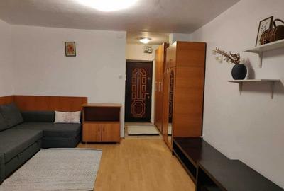 Garsonieră, mobilată în Iancului