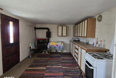 Casă cu 7 camere cu Teren 4500 Mp în Hotarele - 17