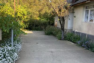 Casă cu 5 camere în Central