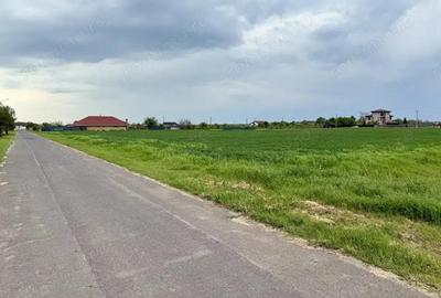 Teren intravilan de 1000 mp in Gradi?tea, Ilfov ideal pentru casa ta - 3