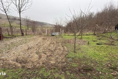 Teren de 2038 mp, în Ghercești - 16