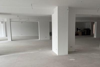 Spațiu de Birouri Premium I Floreasca Barbu Văcărescu - 2