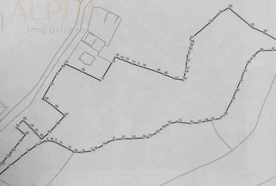 Teren Intravilan de 16.000 mp, Utilitati si Acte in Regula - 6