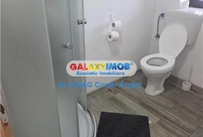 Inchiriem vila in Budeasa, mobilata si utilata - 3