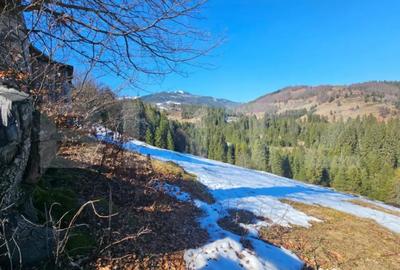 Teren în Galbena - 2