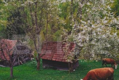 Teren intravilan agricol in Bran - Brasov - 1