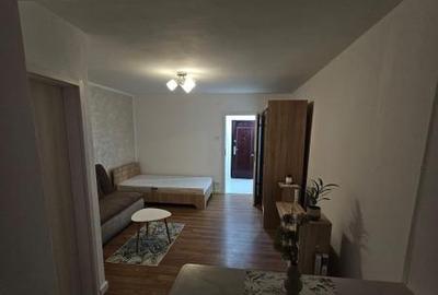 Garsoniera DRUMUL TABEREI - 3