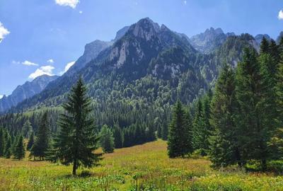 Teren de 8200 mp, în Poiana Țapului - 1