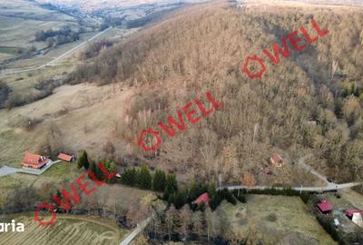 Teren de 16800 mp, în Bățani - 1