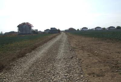 Teren Construcții intravilan de 4394 mp, în Domnești - 4