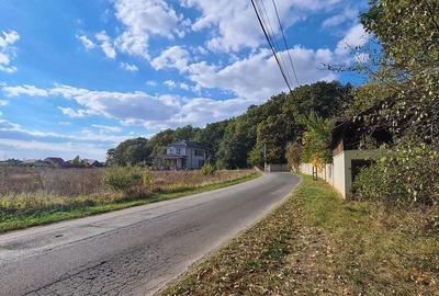 Corbeanca Padure 721 mp - 5