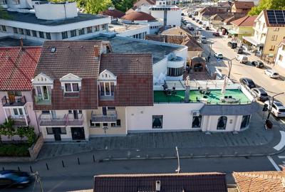 Spațiu comercial, de 715 mp, în Băile Felix - 15