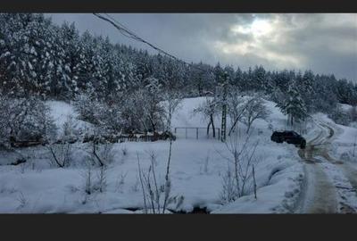 Teren de 4000 mp, în Lopătari - 6