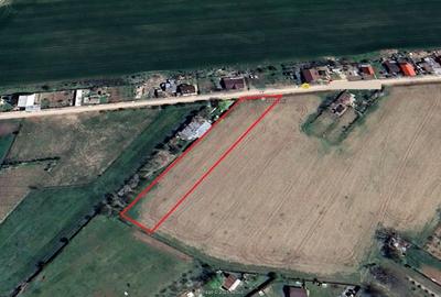 Ciolpani-Primarie-DN1-Toate Utilitatiile - 3