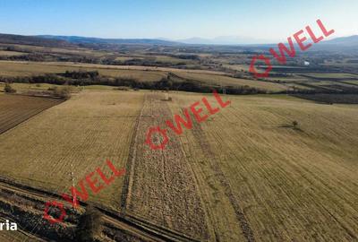 Teren de 9500 mp, în Central - 1