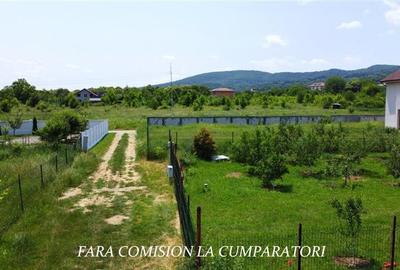 TEREN 2510 MP, PRETABIL DEZVOLTARE REZIDENTIALA - 11