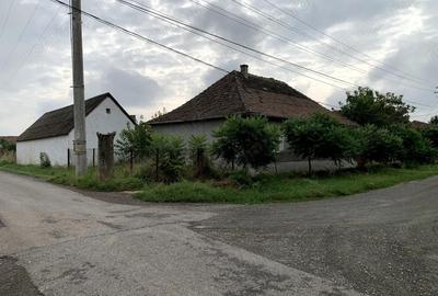 Casă cu Teren 3113 Mp în Otelec
