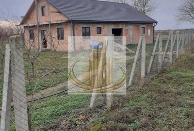 Teren de 16000 mp, în Belinț - 2