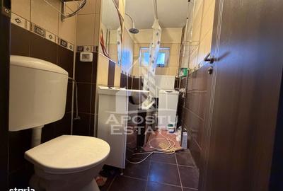 Apartament cu 3 camere decomandat în Iosefin - 7